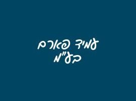 עמיד פארם בע"מ